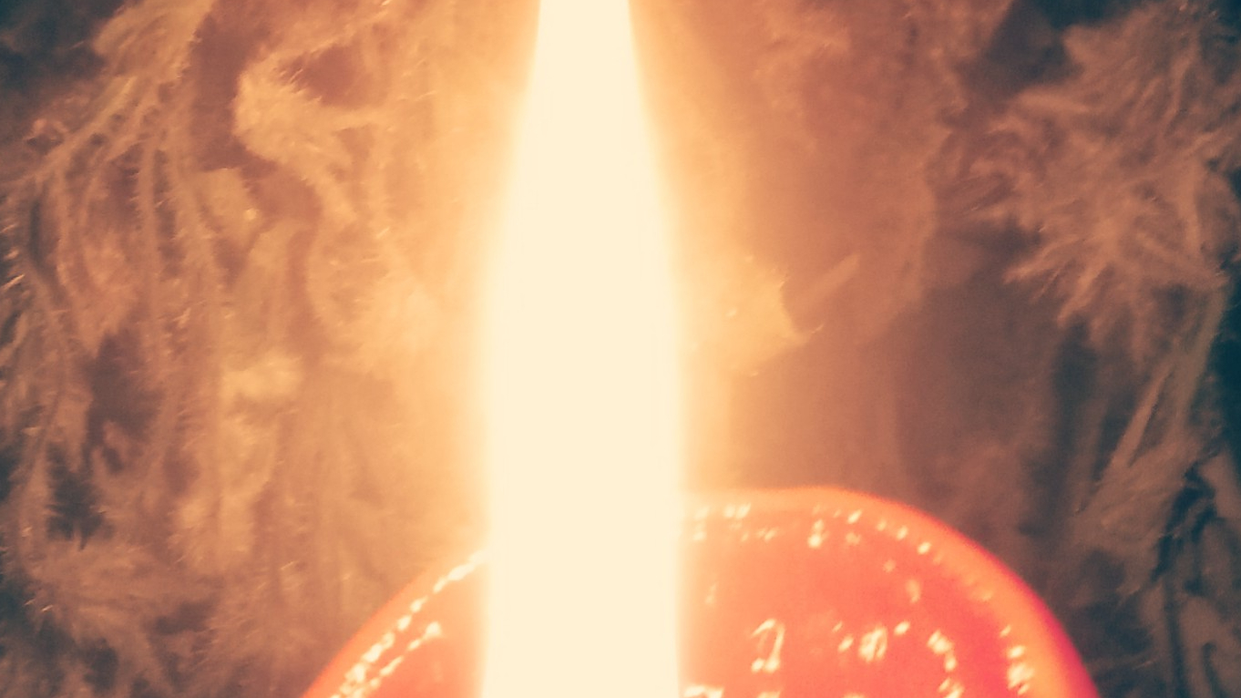 Candle flame in front of greenery