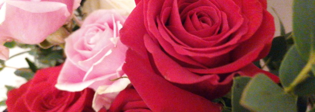 Roses: Red, pink, and white. With greenery.